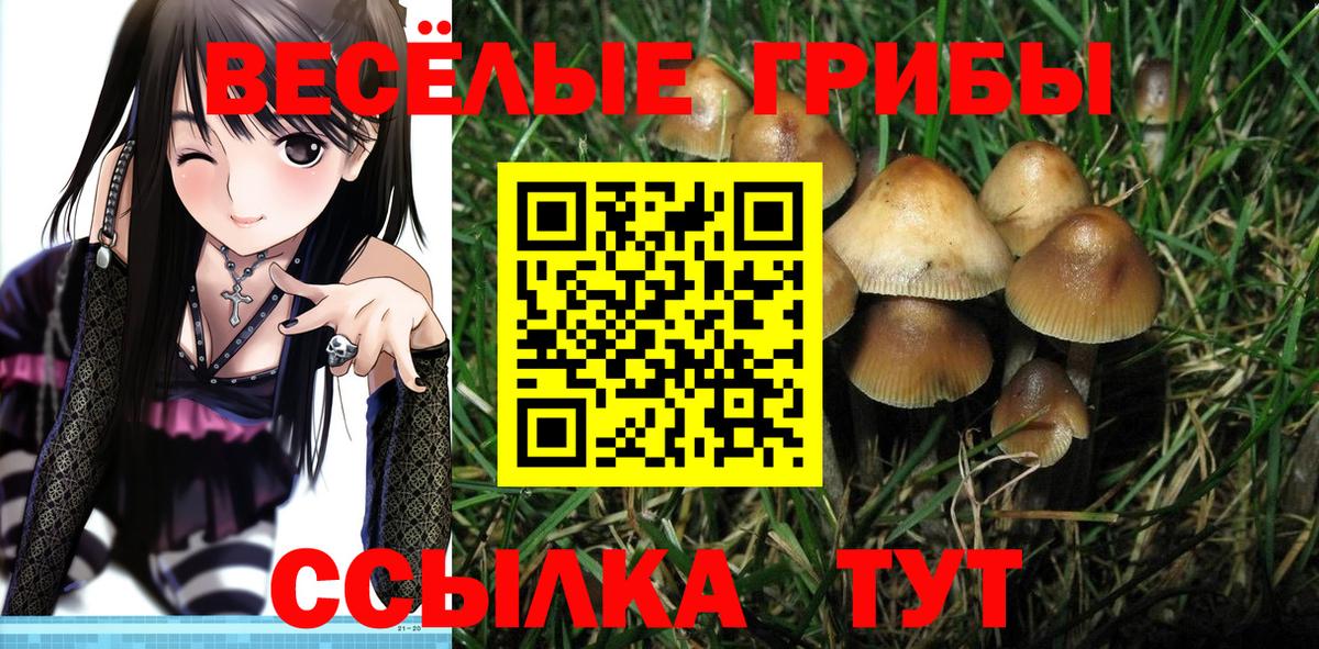 Балтийск  Псилоцибиновые грибы прущие грибы  Вход с VPN 